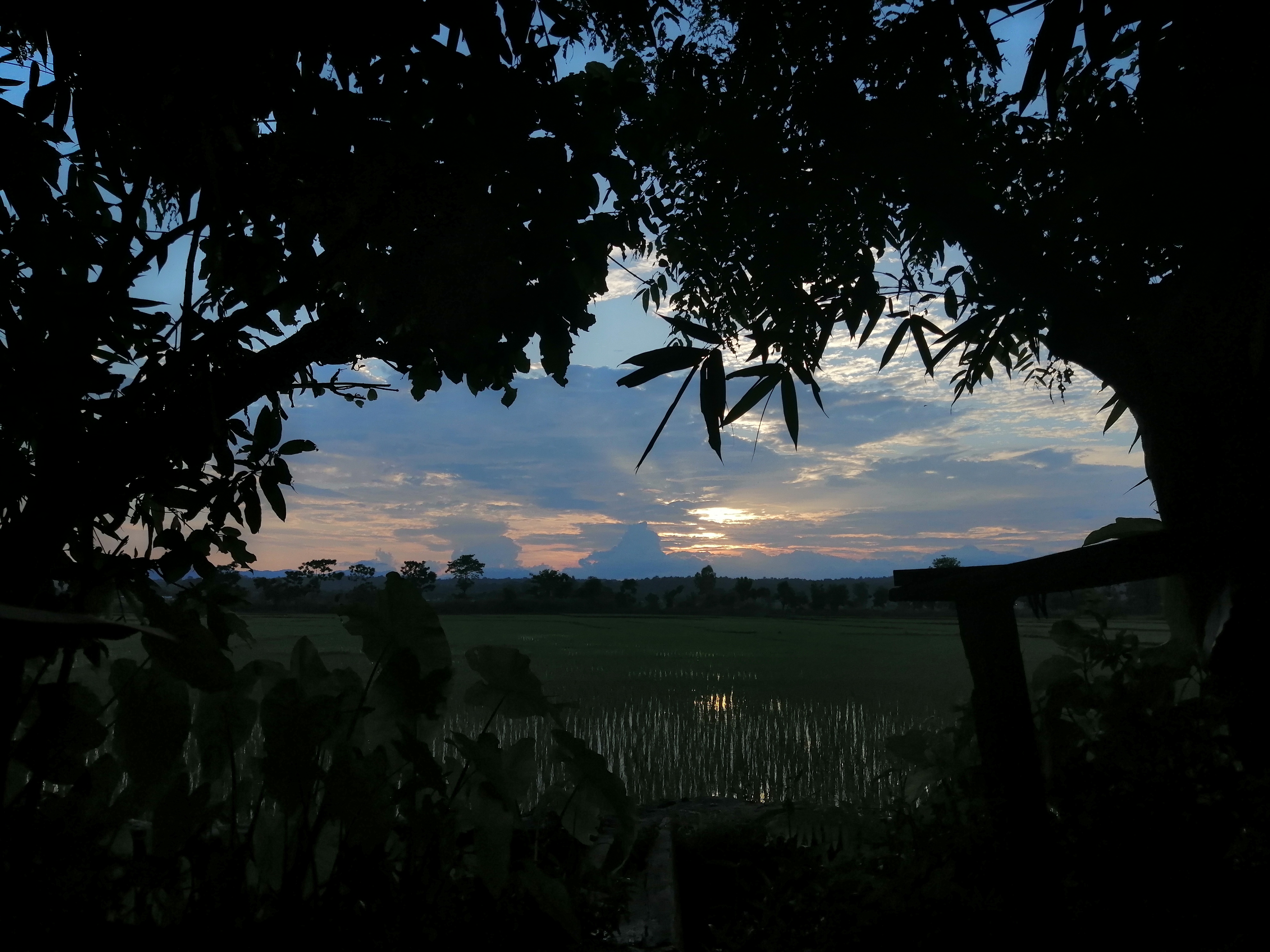 blog1